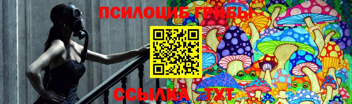 Вязьма  Галлюциногенные грибы Psilocybe  Вход с VPN 